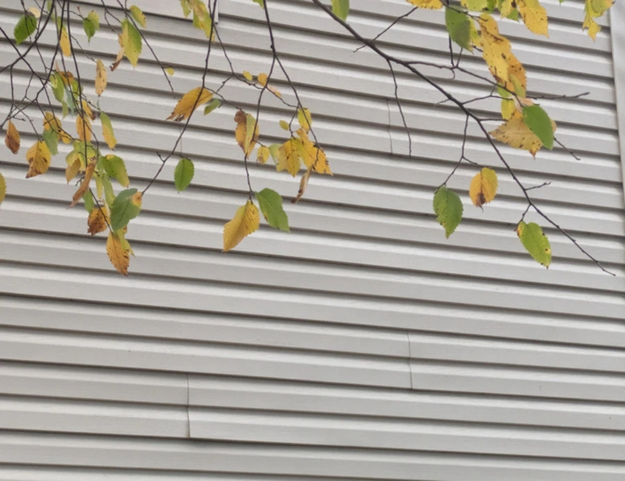 Professional Siding Replacement Houston, TX Professional Siding Replacement Houston, TX